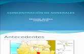 Concentracion Minerales (CODELCO Andina)