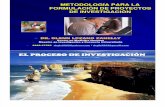 METODOLOGIA PROYECTOS UNIFE 18.05.11