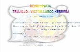 monografaVICTOR LARCO HERRERA