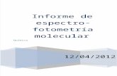Informe Espectrofotometria Molecular
