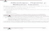 Embriología Placenta y Membranas Fetales