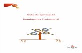 0162_Nominaplus Profesional_Guía Aplicación y Transferencia