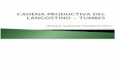 Cadena Productiva Del Langostino - Tumbes_1
