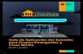 Guia de Aplicaciión Subsidio DS1