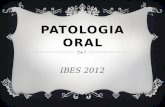 Patologia Oral