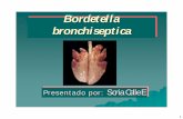 Bordetella Bronchiseptica