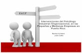 Pequeñas y Medianas Empresas en PR Intervenciones del Psicólogo I/O.