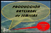 Produccion Artesanal de Semillas