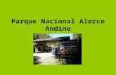 Parque Nacional Alerce Andino