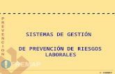 Normas-ohsas-18001 Prevencion de Riesgos Laborales