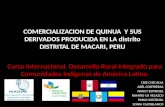 Comercializacion de Quinua y Sus Derivados Producida En