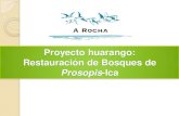 Proyecto huarango-A Rocha Perù