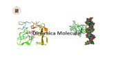 Dinamica Molecular