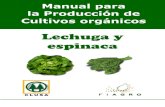 2003. FIAGRO. Manual de Producción de Lechuga y Espinaca Orgánica