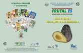 2003. IICA. Guía Técnica del Cultivo de Aguacate