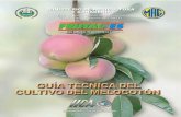 2004. IICA. Guía Técnica del Cultivo de Melocotón
