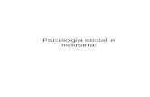 Psicologia Social e Industrial