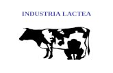 Industria Lactea