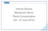Informe Mantención Menor Junio 2012