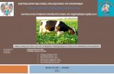Diapositiva Agro Repercuciones de Forrajes Transgenicos en Los Animales[1]