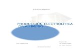 11- Producción Electrolítica de Aluminio.