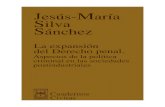 Silva Sanchez, Jesus Maria - La Expansion Del Derecho Penal 1a Edicion