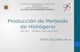 Producción de Peróxido de Hidrógeno_Erick González