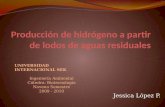 Análisis bibliográfico de la producción de hidrógeno a partir de aguas residuales (presentación)