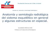 3. Anatomía y semiología radiológica del sistema esquelético en general y algunas estructuras en especial.