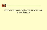 CLASE 09_Endocrinologia Testicular y Ovarica