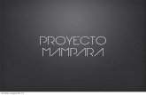 Proyecto Mampara