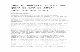 IMPACTO AMBIENTAL CAUSADO POR QUEMA DE CAÑA DE AZUCAR