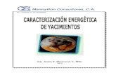 Manucci, J. - Caracterizacion Energetica de Yacimientos