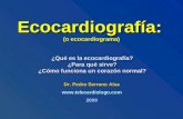 Eco Cardio