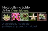 Metabolismo ácido de las crasulaceas (CAM)