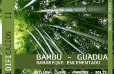 BAMBÚ - GUADUA