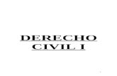 Resumen de Derecho Civil 1, Catedra Dos