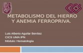 Metabolismo Del Hierro y Anemia Ferropriva