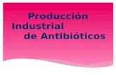 Producción Industrial                 de Antibióticos