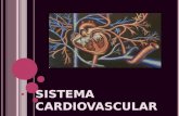 Lectura 23 Histologia Del Aparato Cardiovascular
