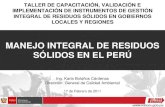 Manejo Integral de Rrss.pdf