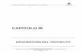 CAPITULO III CH Pucará
