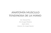 Tema 10 Anatomia de La Mano II