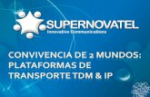 Convivencia en Dos Mundos (Plataformas de Transporte TDM & IP)