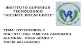 Diapositivas de La Osteoporosis[1]