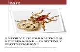 Informe de Parasito 2 Ultimo Insectos Protozoarios