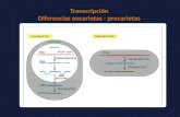 8- Regulacion de La Expresion Genica en Eucariotas