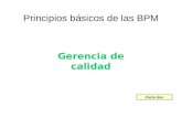 Principios Basicos BPM