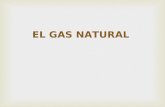 Gas Natural (Exposicion)