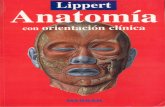 Lippert - Anatomia Con Orientacion Clinica